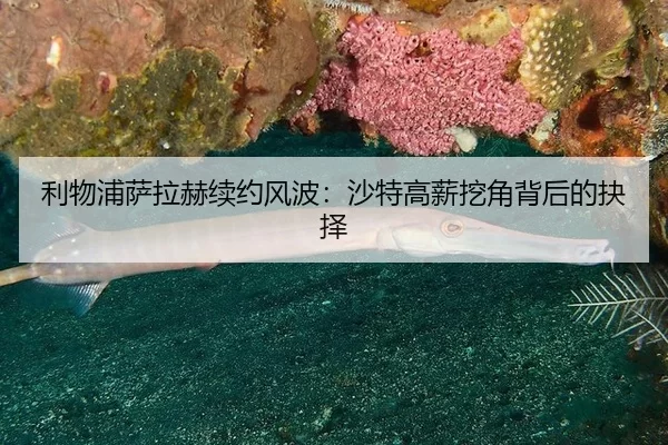 li-wu-pu-sa-la-he-xu-yue-feng-bo-sha-te-gao-xin-wa-jiao-bei-hou-de-jue-ze-1-505.jpg